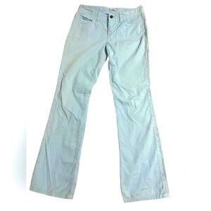 Express Pale Blue Bootcut Pants